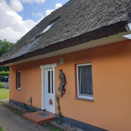 Buhne II Og Apartman Wieck Kültér fotó